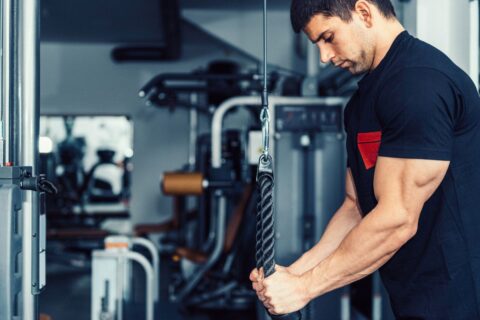 4 exercices triceps incontournables pour exploser vos performances aux ...